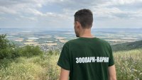 Нова версия: Леопардите край Шумен са два, единият е бременна женска