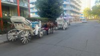 Сигналите ви: Летният сезон си отива, конските фъшкии на Слънчака - не