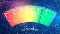5 начина да забързате метаболизма без глад