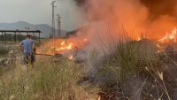 За последното денонощие в България са ликвидирани 113 пожара