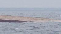 Проверяват за замърсяване на Черно море след атака срещу контейнеровоз