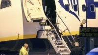 Съдът на ЕС реши: Загубено куче от авиокомпания е като загубен багаж