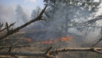 В радиоактивната зона на Чернобил избухна голям горски пожар