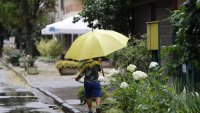 Аварийните екипи на Столичната община са реагирали на 15 сигнала през нощта