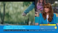 Все повече българи даряват за деца в риск, но предпочитат да останат анонимни