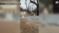Бедствено положение в Ардино ВИДЕО