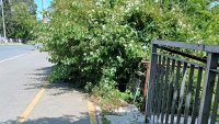 Бургас се готви за туристите: Велоалеи в храсти и пътища в кал