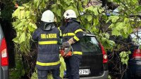Паднали дървета от обилния дъжд в Пловдив и Варна, наводнени улици в Бургас