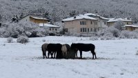 Времето утре: Студено, облачно, на отделни места ще превали 