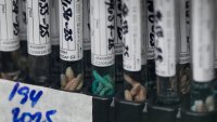 Жител на Калифорния е дал положителен тест за чума