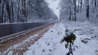 АПИ: Тръгвайте на път готови за зимни условия