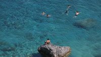 Червеният кръст предупреждава за опасната риба балон в гръцки води