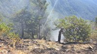 МЗХ започва проверки за опазване на земеделските земи и горските територии 