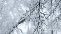 Метеоролози вещаят сурова зима за Европа тази година