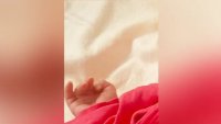 Тв водещата Бесте Сабри стана майка