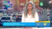 Заради Euro 7 колите могат да поскъпнат до 15%, но сме царe на вторичния пазар