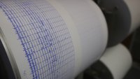 Земетресение с магнитуд 4 в Румъния на 180 км от Русе