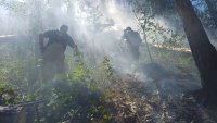 Джартов: Между 25 и 30% по-малко са пожарите в страната тази година