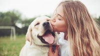 7 лесни начина да стимулирате хормоните на щастието