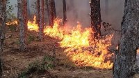 Пожар гори в Сакар планина, 9 екипа огнеборци са на терен