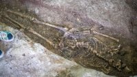 Общо 13 гроба откриха под Националната художествена академия