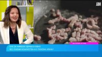 Свръхпреработената храна ни прави по-нещастни