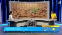 Климатът ни става гръцки, а в Гърция става африкански