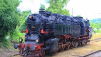 Атракционен влак до Долни Раковец за "Чесън фест" 