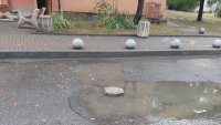 Фекални води текат от улични шахти в Кърджали и наводняват жилища