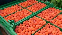 Лукс за 32 евро за кг, а България е топ производител на малини в света