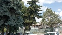 От Helpbook: Неподдържани площи, опасни дървета, избуяли треви