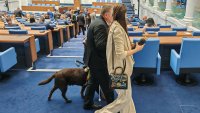 Задава се драма и скандали: Опитва ли "Прогресивна България" да ограничи опозицията?  