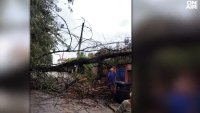 Започват огледи и описват щетите след бурята в Северозападна България