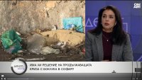 Ваня Григорова: София не изглежда никак добре и това се очакваше