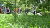 Двойно увеличение на случаите на Лаймска болест спрямо миналата година