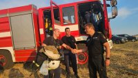 Пожар избухна край Свиленград, затвориха магистрала "Марица"