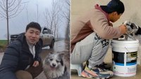 Отвлякоха куче инфлуенсър в Китай и го изядоха 