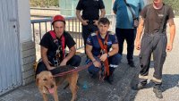 Добрина: Пожарникари спасиха куче от язовир “Кърджали”