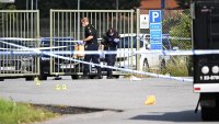 Загиналата на рейв парти в Швейцария е млада жена, изършителят все още се издирва 