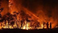 Извънредно положение в четири германски общини заради горски пожари