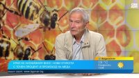 Български мед има, проблемът е евтиният внос