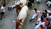 57 ранени в традиционното бягане с бикове в Памплона