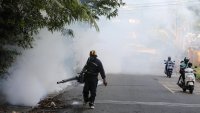 Паника в Китай заради възможност от епидемия след ухапване от комари