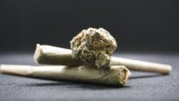 Пушенето на марихуана увеличава риска от психоза с до 70%