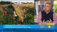Нужни ли са нови правила за производство на домашна ракия и вино?