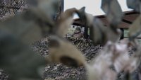 Районът на Днипро е смъртоносна зона за Русия