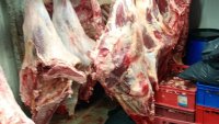 БАБХ откри над 10 тона месо в незаконна кланица в Дебелец