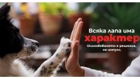 Всяка лапа има характер: Как да намериш твоето куче?