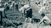 Криза с работните места в Русия: Съветските трудови лагери да се отворят през ваканциите