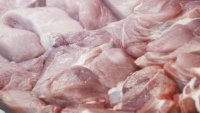 Иззеха близо 39 т животински продукти без документи в Свиленград